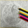Animal Kingdom Coloring Book