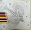 Animal Kingdom Coloring Book