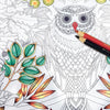 Secret Garden Coloring Book